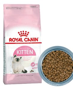 Hạt dinh dưỡng cho mèo Royal Canin Kitten (dành cho mèo con)